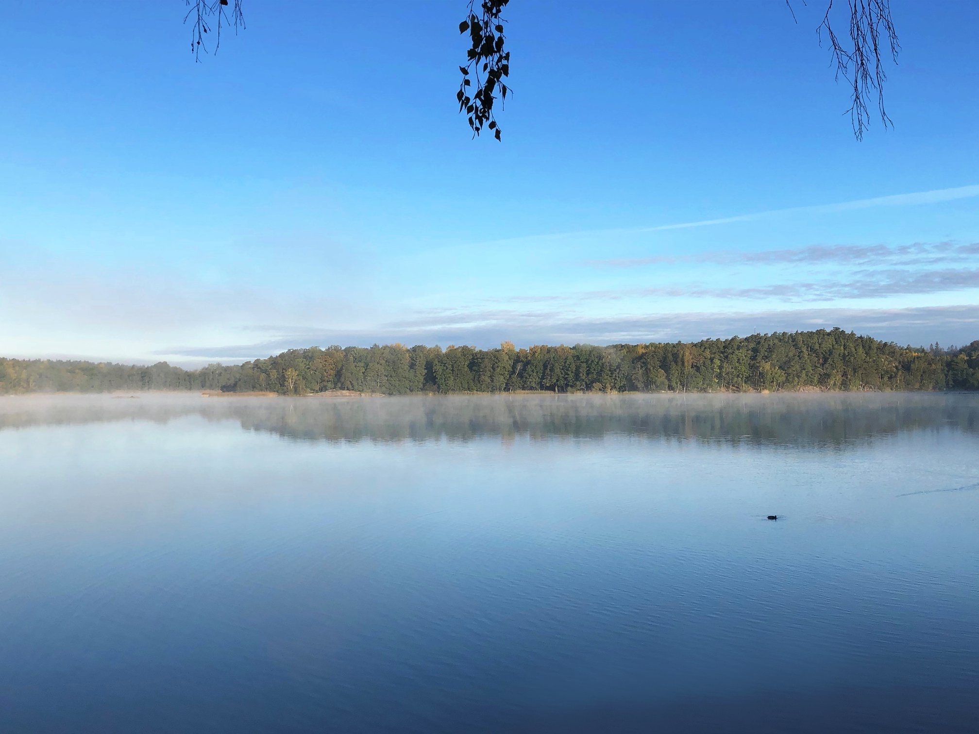 naturen vatten stockholm naturen vatten stockholm
